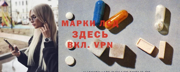 стаф Артём