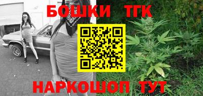 стаф Берёзовский
