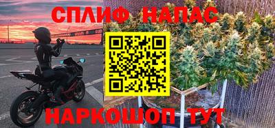 стаф Берёзовский