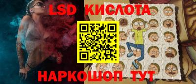стаф Берёзовский