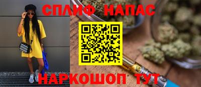 стаф Берёзовский