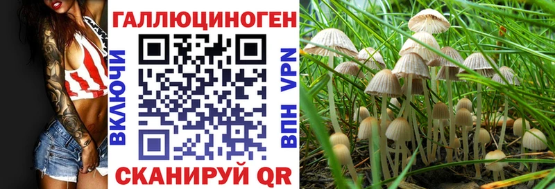 Галлюциногенные грибы Psilocybe  Геленджик 