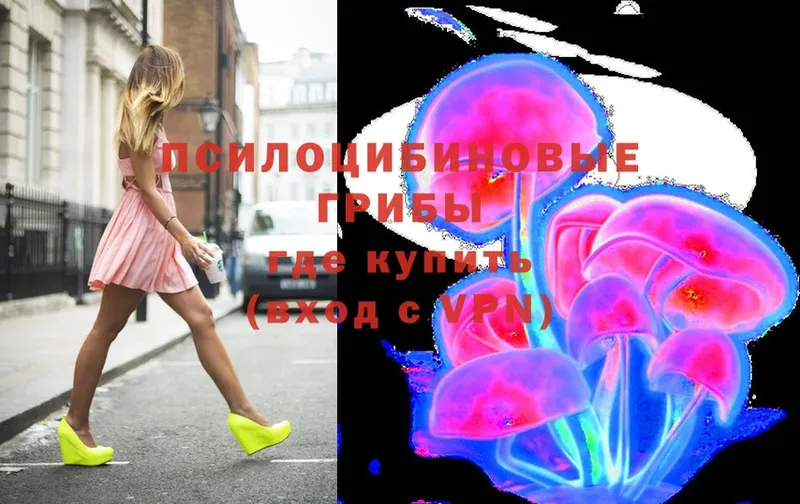 Галлюциногенные грибы Psilocybe  Геленджик 