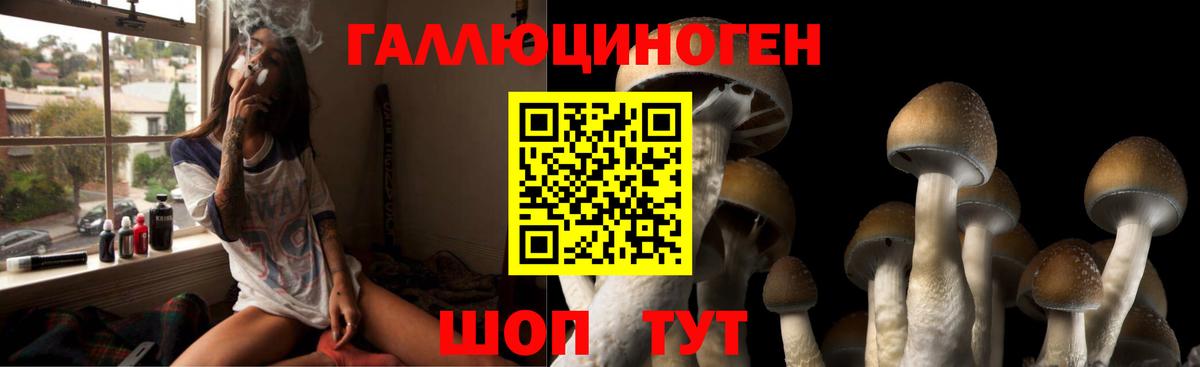 Псилоцибиновые грибы мухоморы Геленджик